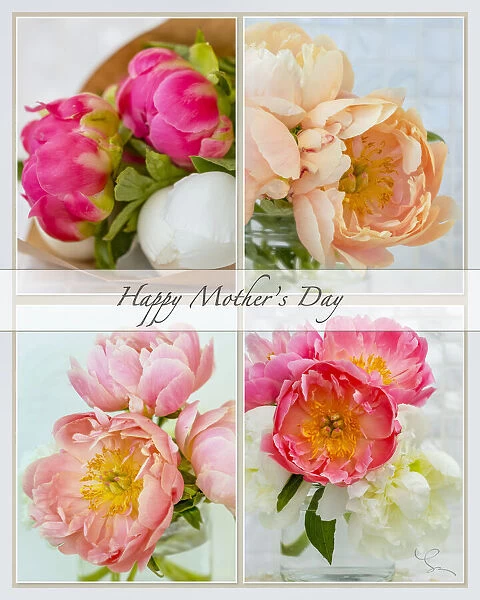 Collage of four different pictures of peonies with text; Happy Mothers Day