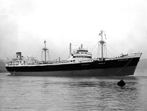 The SS Camellia in 1953