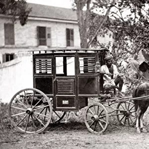 c. 1880s India - pony hackney carriage with driver