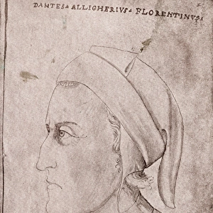 Dante / Codex Palatinus