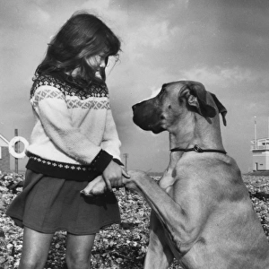 Girl with Great Dane on a pebbly beach
