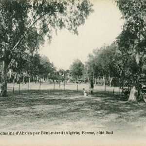 The grounds of Abziza farm. B鮩Mered, Blida