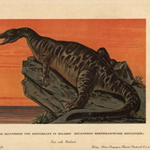 Iguanodon bernissartensis, extinct ground-dwelling
