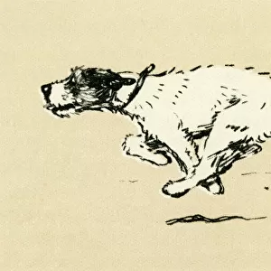 Illustration by Cecil Aldin, Tatters chasing the car