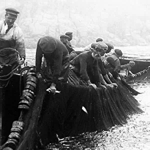 Pilchard Fishing in Cornwall using seine nets early 1900s