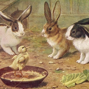 Rabbits & Chick 1920S