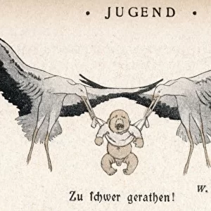 Stork / Baby / Jugend 1902