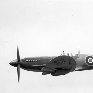 Supermarine Spitfire VIII JF318 after conversion to a XIV