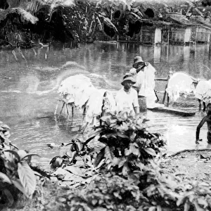 Washing in East Indies