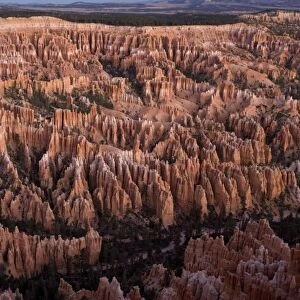 Bryce Canyon, general view from Bryce Point at dawn
