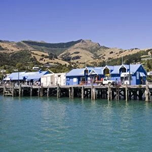 Pier in Akaroa harbour with office of Akaroa Dolphins. Banks Peninsula - New Zealand