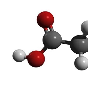 Acetic acid molecule