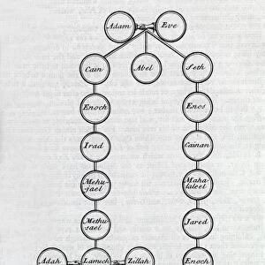 Adam and Eve family tree, 18th century C013 / 7820