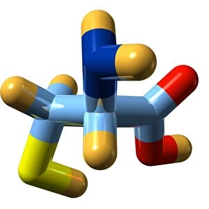 Cysteine, molecular model