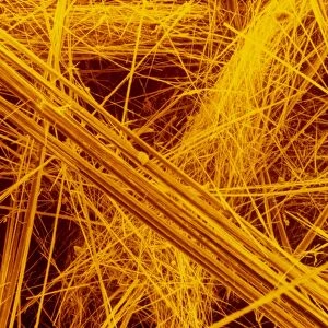 false col SEM of amosite fibres