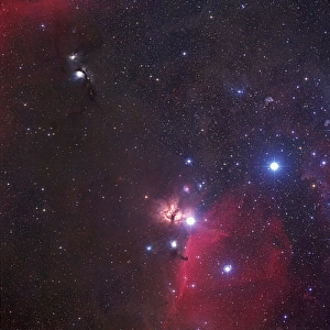 Orion nebulae