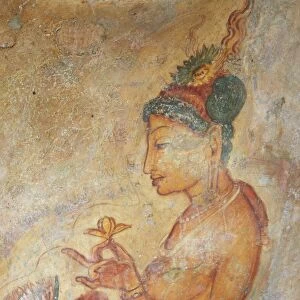 Ancient fresco, Sigiriya, UNESCO World Heritage Site, North Central Province, Sri Lanka, Asia