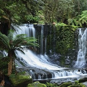 Horseshoe Falls, Mount Field National Park, UNESCO World Heritage Site