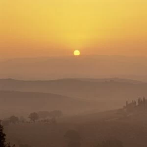 Landscape of fields and cypress trees at sunset in