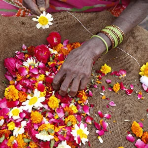 Woman making and selling garlands outside a Hindu temple, Goverdan, Uttar Pradesh, India
