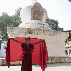 Young Buddhist monk, Punakha Dzong, Punakha, Bhutan, Asia