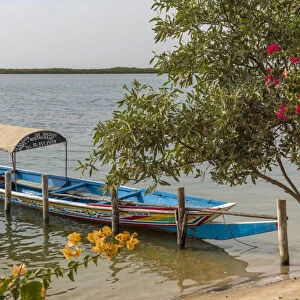 Senegal Heritage Sites Saloum Delta
