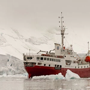 Antarctica, Antarctic Peninsula, Paradise Bay, Antarctic Dream ship