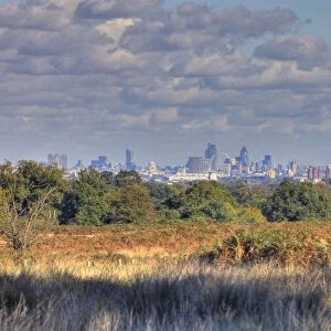 Central London skyline from Richmond Park, London, England
