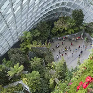 Cloud Forest greenhouse in Gardens by the Bay, Singapore