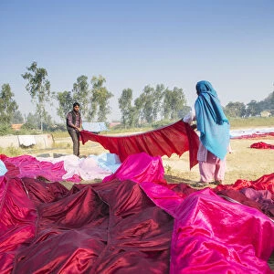 India, Uttar Pradesh, Agra, locals drying brilliant red and pink sarees in the sun