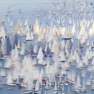 Italy, Friuli Venezia Giulia, Barcolana, the historic sailing regatta in Trieste