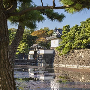 Moat and walls of Imperial Palace, Tokyo, Japan
