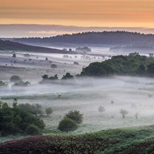 Sunrise from Rockford Common, New Forest National Park, hampshire, England, UK
