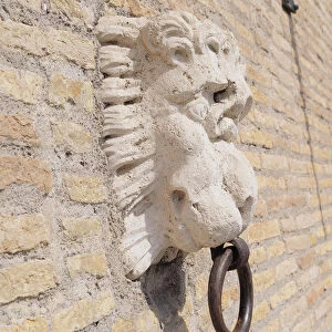 Italy, Lazio, Rome, Centro Storico, Villa Medici, stone lion wall detail