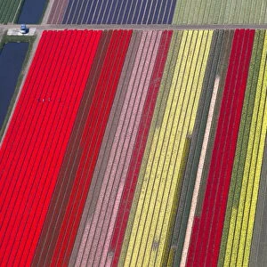 An aerial view of flower fields is seen near the Keukenhof park, also known as the