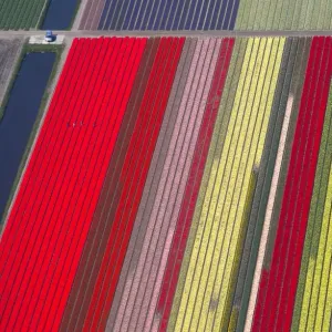 An aerial view of flower fields is seen near the Keukenhof park, also known as