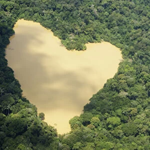 An aerial view of a natural lake fed by a spring in the Amazon River basin near Manaus