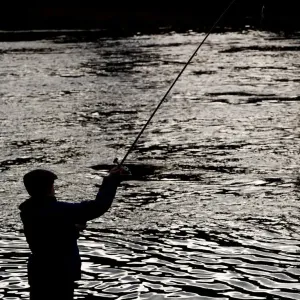Salmonfishing