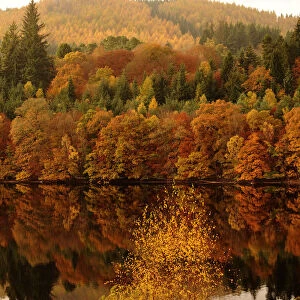 Autumn leaves are reflected in Loch Faskally Pitlochry, Perthshire, Scotland