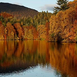 Autumn leaves are reflected on Loch Faskally, Pitlochry, Scotland