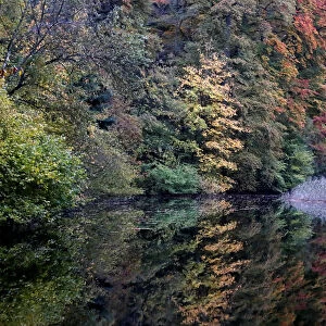 Autumn in a park in Gsbeek