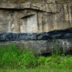 Coal