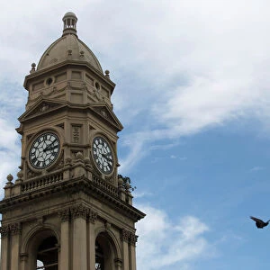 A bird flies past the broken clock on the Old Town Hall in Durban