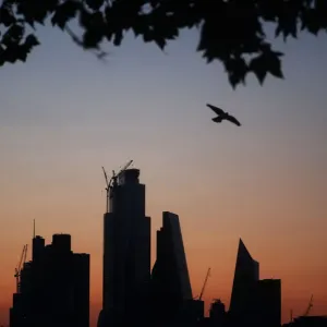 A bird flies as the sun rises behind the city of London financial district in London A bird flies as the sun rises behind the city of London financial district in London