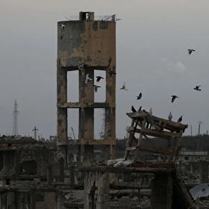 Birds fly above damaged buildings in a rebel-held area in the city of Deraa