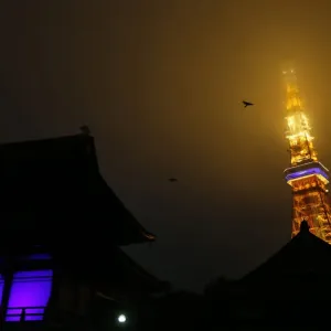 Birds fly over Zojoji Temple and Tokyo tower before their lights were turned off during
