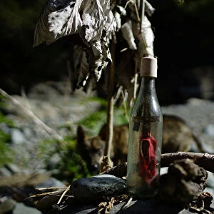A bottle with a cross inside it, left by Santeria followers