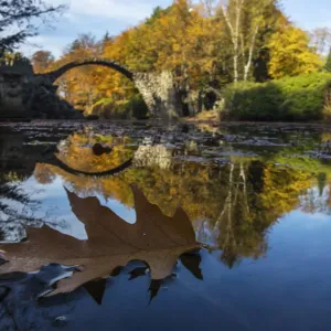 The Bridge Rakotzbr?cke is pictured against trees in autumn colours in the the eastern The Bridge Rakotzbr?cke is pictured against trees in autumn colours in the the eastern