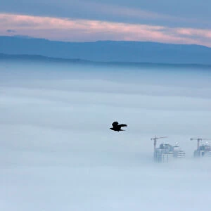 Buildings are seen as fog blankets the city of Skopje