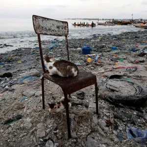 Senegal